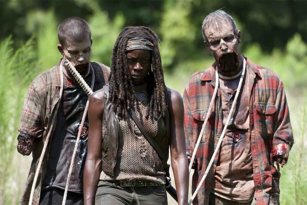 the-walking-dead-after